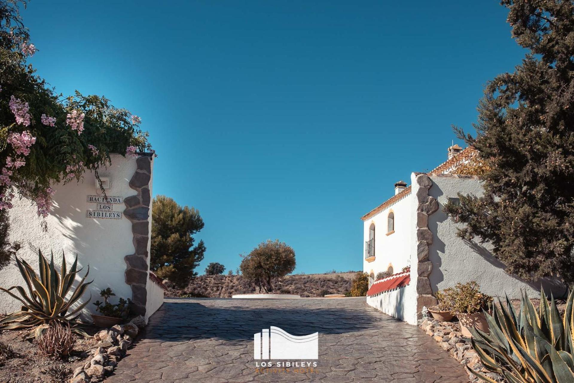 Hotel Los Sibileys Henares Екстер'єр фото
