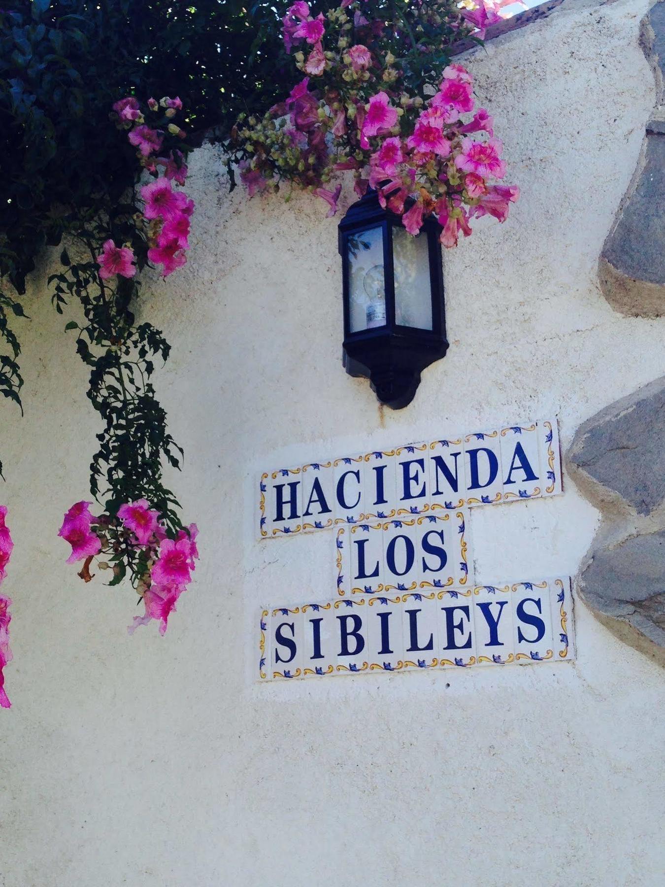Hotel Los Sibileys Henares Екстер'єр фото